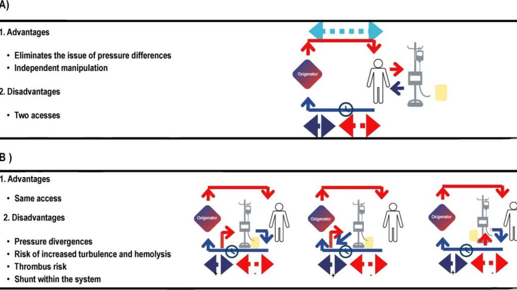 Advancements in understanding the mechanisms of lung–kidney crosstalk