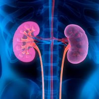 Acute kidney injury following cardiopulmonary bypass in Jamaica