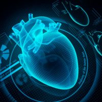 Heart Failure Guideline – ACC/AHA/HFSA guideline