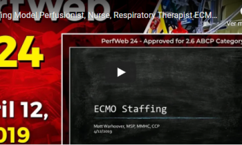 ECMO Staffing Model: Perfusionist, Nurse, Respiratory Specialist