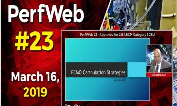 ECMO cannulation strategies.