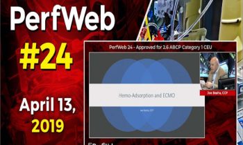 ECMO and Plasma Molecular Adsorption Therapy