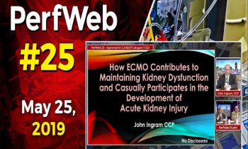 How ECMO contributes to maintaining kidney dysfunction Acute Kidney Injury (AKI).