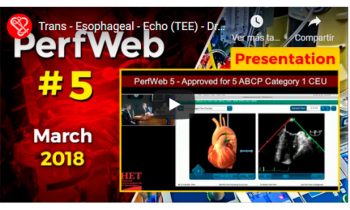 Trans – Esophageal – Echo (TEE)