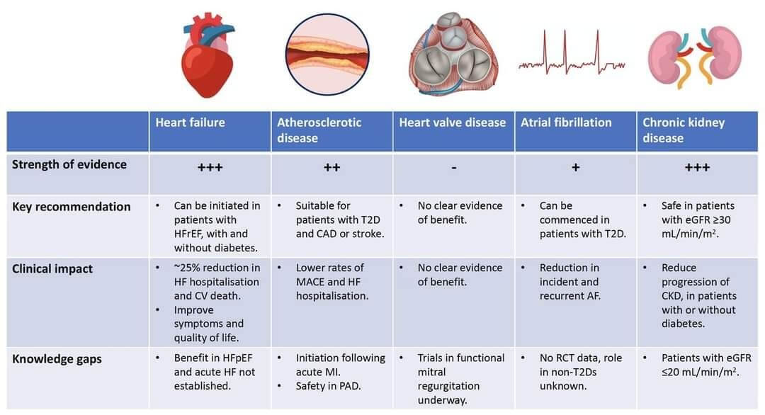 lipoproteina