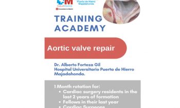 Training Academy Cardiac Surgery