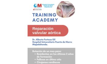 Reparación valvular Aórtica – Training Academy