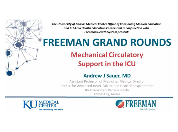 Mechanical Circulatory Support In The Icu Perfusfind