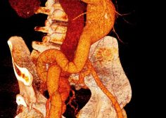 WhatsApp Image 2023-01-25 at 14.37.11