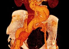 WhatsApp Image 2023-01-25 at 14.37.12 (1)