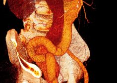 WhatsApp Image 2023-01-25 at 14.37.12