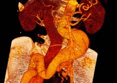 WhatsApp Image 2023-01-25 at 14.37.13