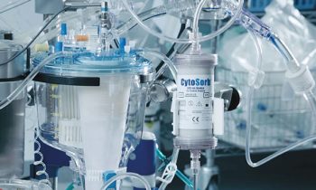 Impact of extracorporeal haemoadsorption during prolonged cardiopulmonary bypass on the incidence of acute kidney injury