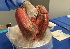 WhatsApp Image 2026-04-21 at 06.07.05