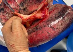 WhatsApp Image 2026-04-21 at 06.07.06 (1)