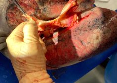 WhatsApp Image 2026-04-21 at 06.07.06 (2)