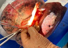 WhatsApp Image 2026-04-21 at 06.07.06