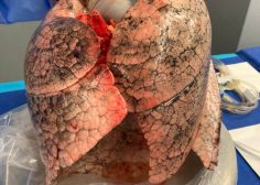 WhatsApp Image 2026-04-21 at 06.07.06 (3)