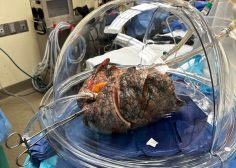 WhatsApp Image 2026-04-21 at 06.07.07 (1)