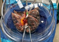 WhatsApp Image 2026-04-21 at 06.07.07 (2)