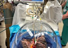 WhatsApp Image 2026-04-21 at 06.07.07