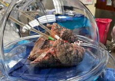 WhatsApp Image 2026-04-21 at 06.07.07 (3)