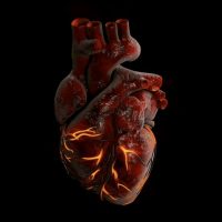 Arterial diseases imaging – Congenital diseases